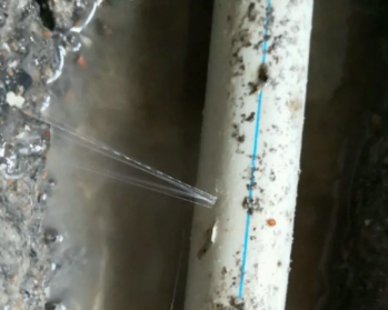 蒸湘卫生间测漏水多少钱